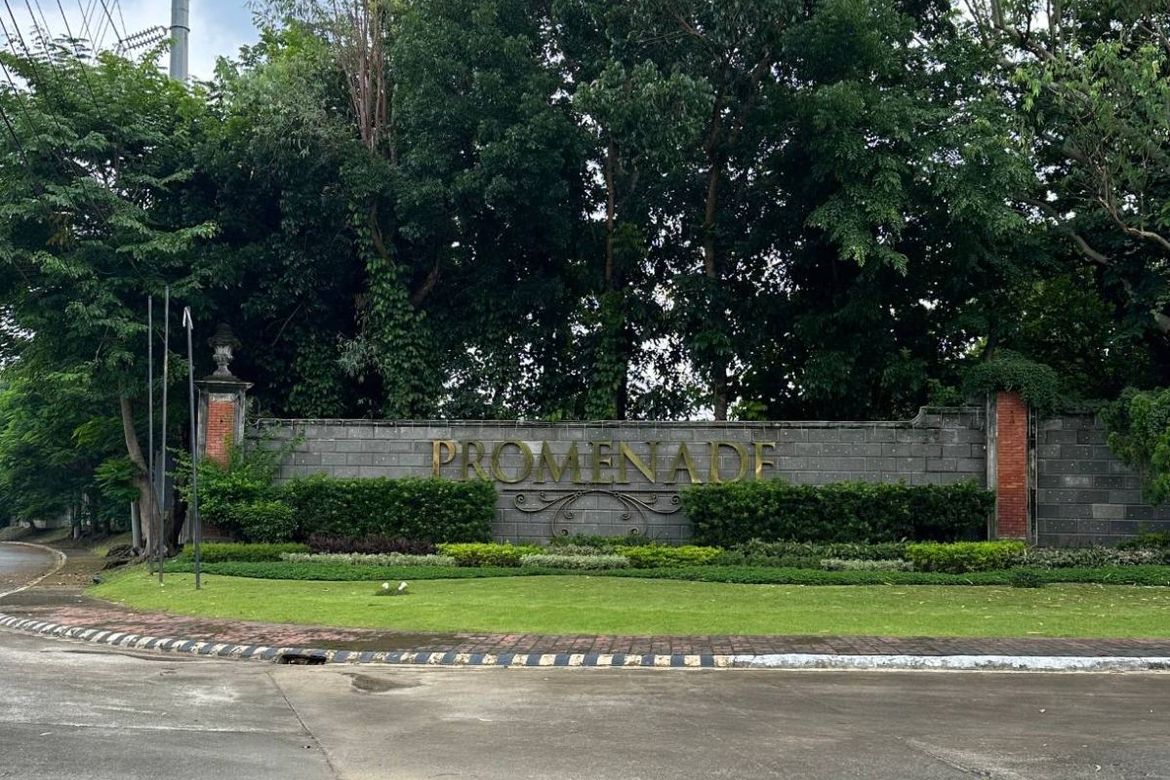 Land for Sale in Santo Domingo, Biñan, Laguna – photo 7