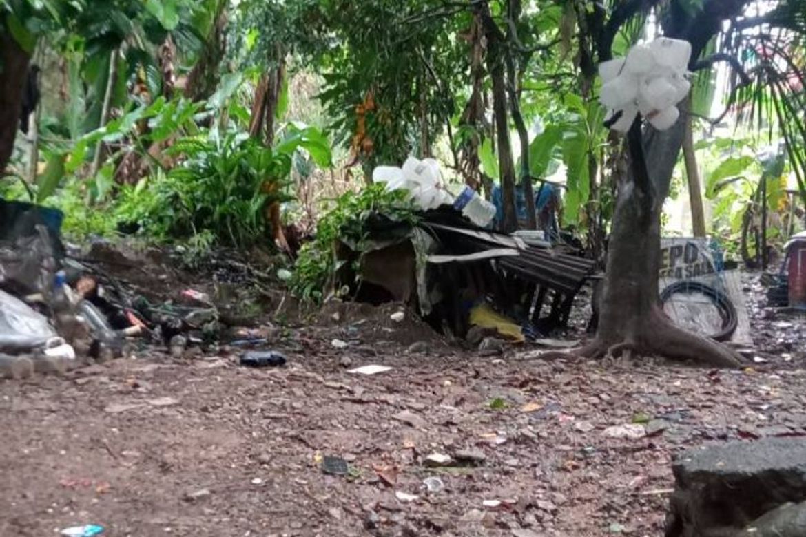Land for Sale in Santo Domingo, Cainta, Rizal – photo 2