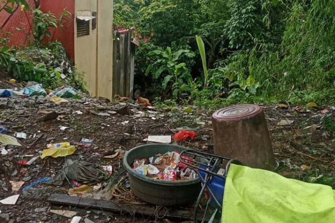 Land for Sale in Santo Domingo, Cainta, Rizal – photo 3