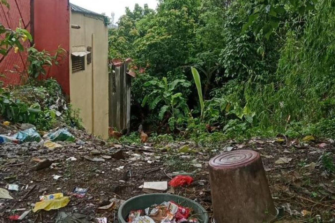 Land for Sale in Santo Domingo, Cainta, Rizal – photo 4
