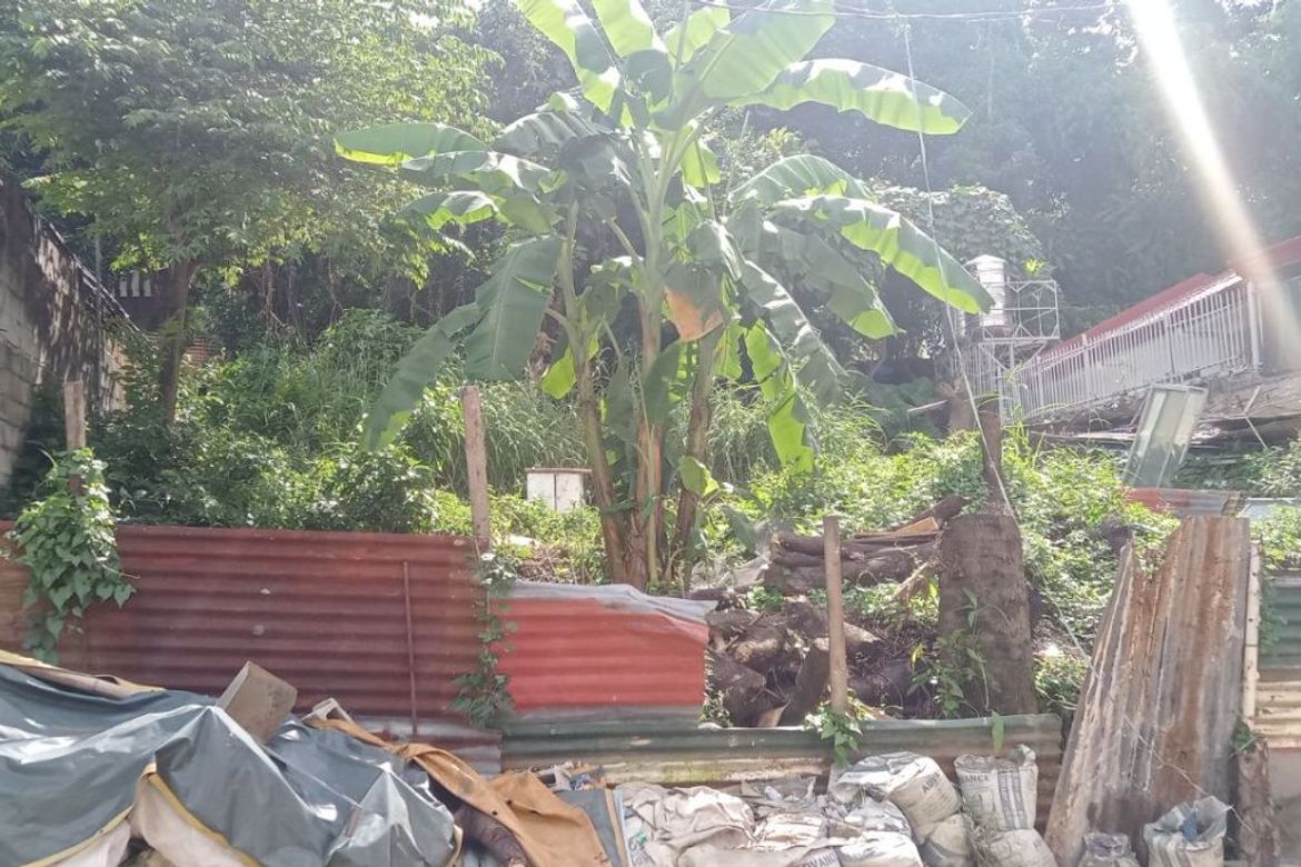 Land for Sale in Santo Domingo, Cainta, Rizal – photo 6