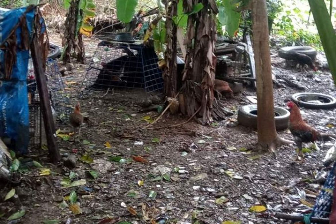 Land for Sale in Santo Domingo, Cainta, Rizal – photo 3