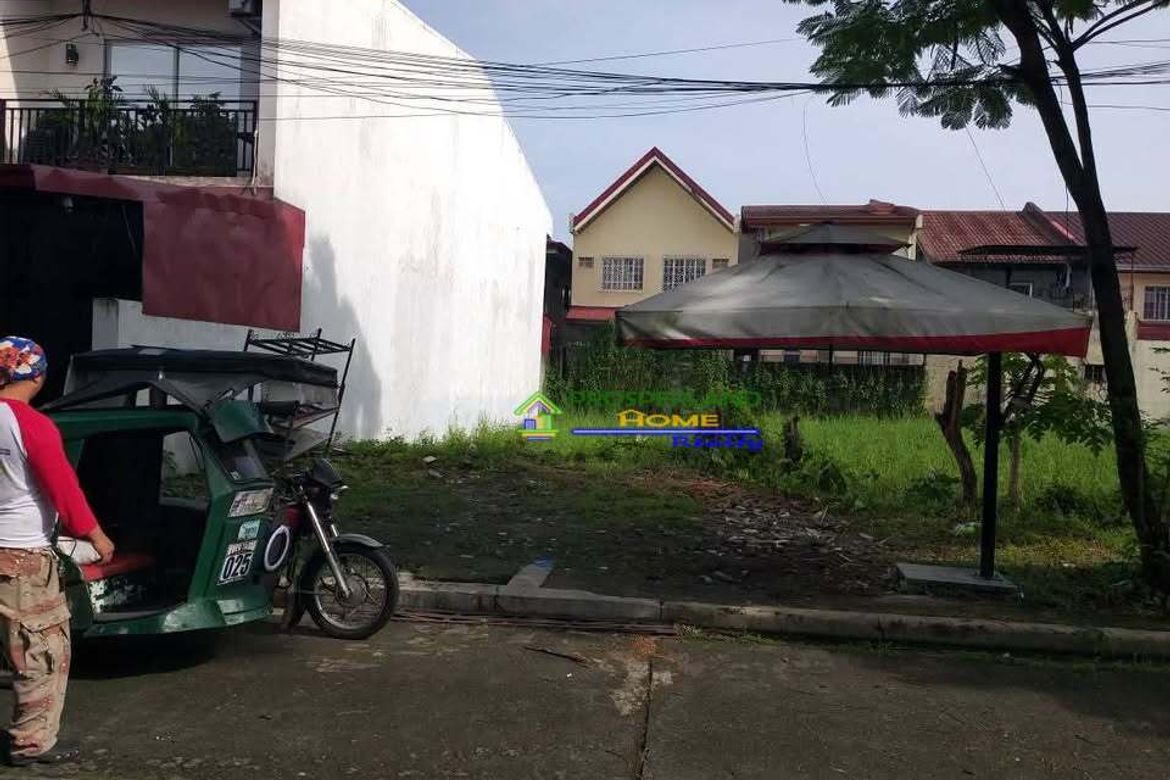 Land for Sale in Santo Domingo, Cainta, Rizal