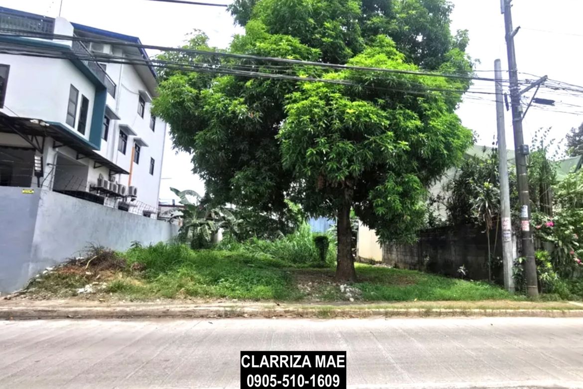 Land for Sale in Santo Domingo, Cainta, Rizal