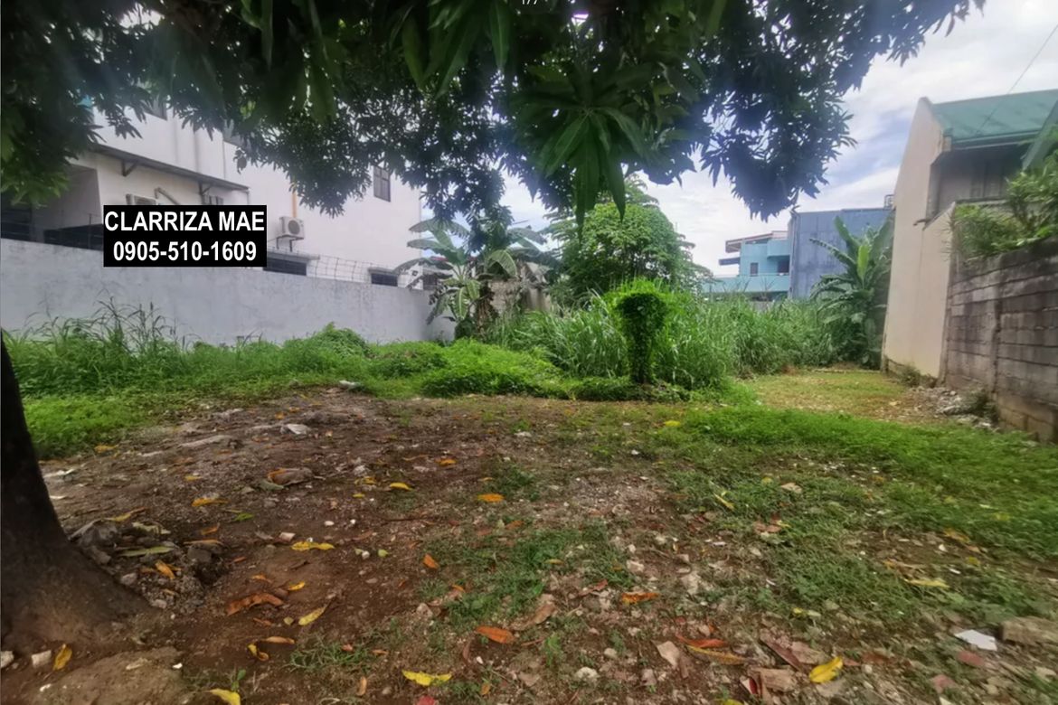 Land for Sale in Santo Domingo, Cainta, Rizal – photo 2