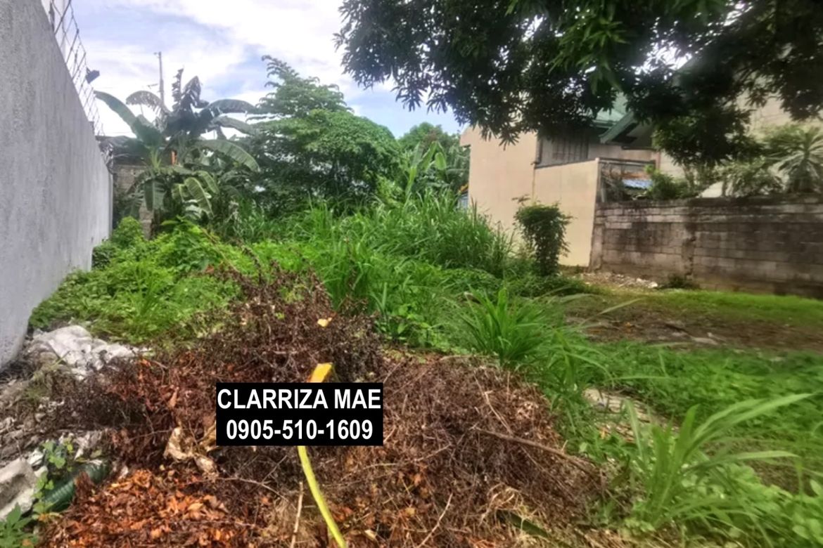 Land for Sale in Santo Domingo, Cainta, Rizal – photo 3