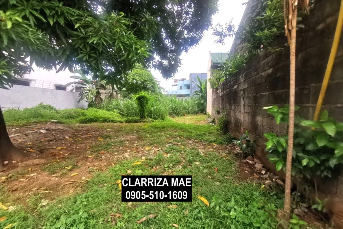 Land for Sale in Santo Domingo, Cainta, Rizal – photo 4