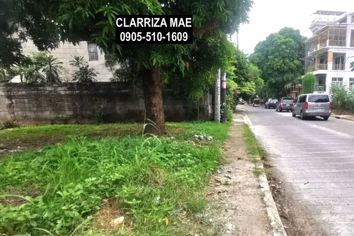 Land for Sale in Santo Domingo, Cainta, Rizal – photo 5