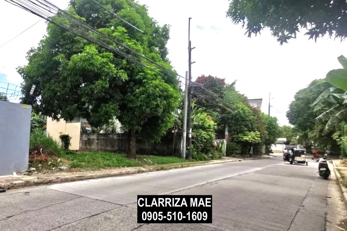 Land for Sale in Santo Domingo, Cainta, Rizal – photo 6