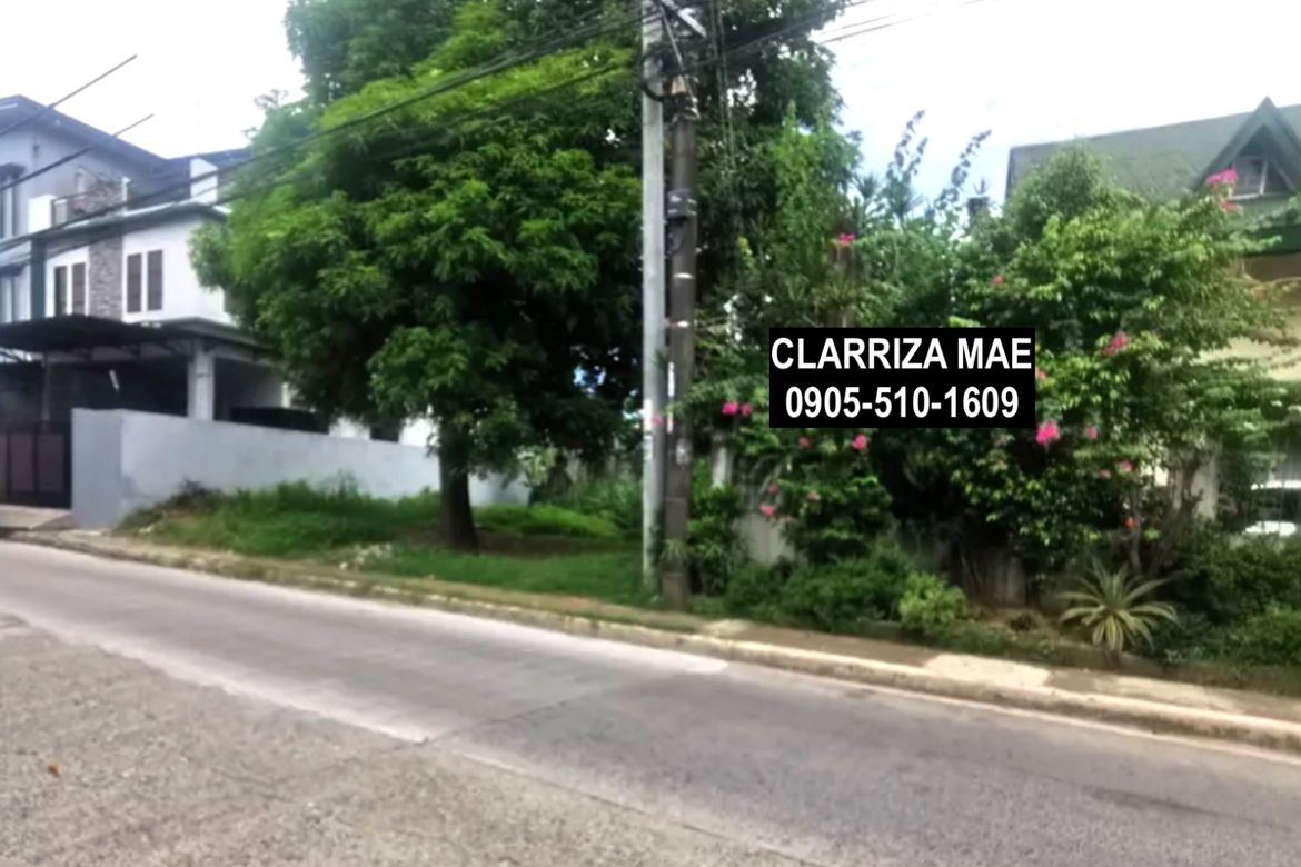 Land for Sale in Santo Domingo, Cainta, Rizal – photo 7