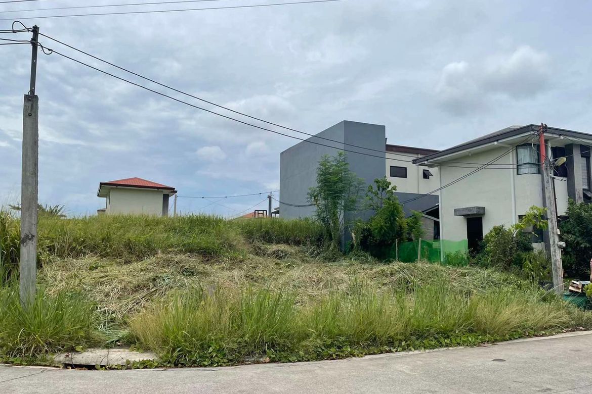 Land for Sale in Santo Domingo, Santa Rosa, Laguna – photo 2