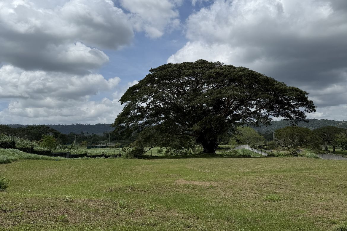 Land for Sale in Santo Domingo, Santa Rosa, Laguna