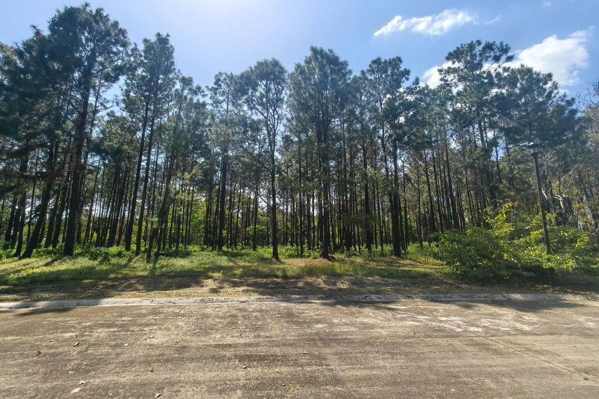 Land for Sale in Santo Domingo, Santa Rosa, Laguna