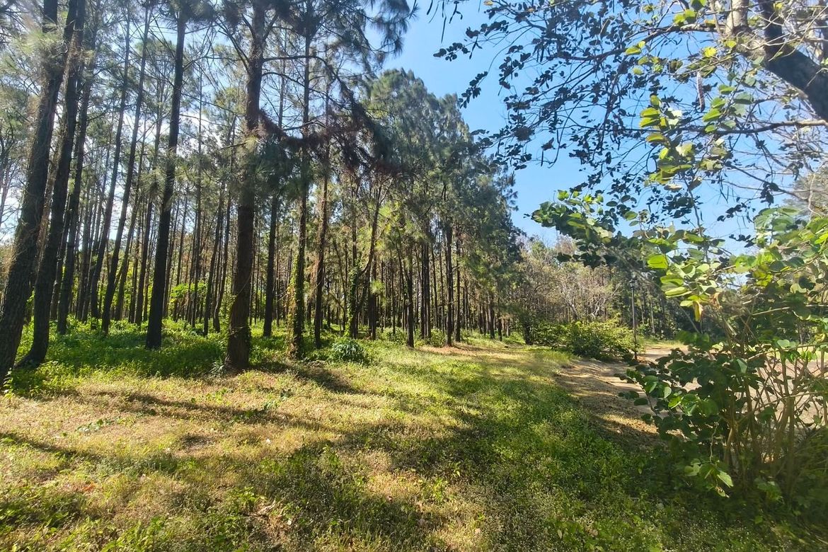 Land for Sale in Santo Domingo, Santa Rosa, Laguna – photo 6