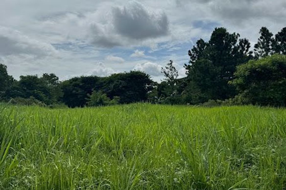 Land for Sale in Santo Domingo, Santa Rosa, Laguna – photo 4