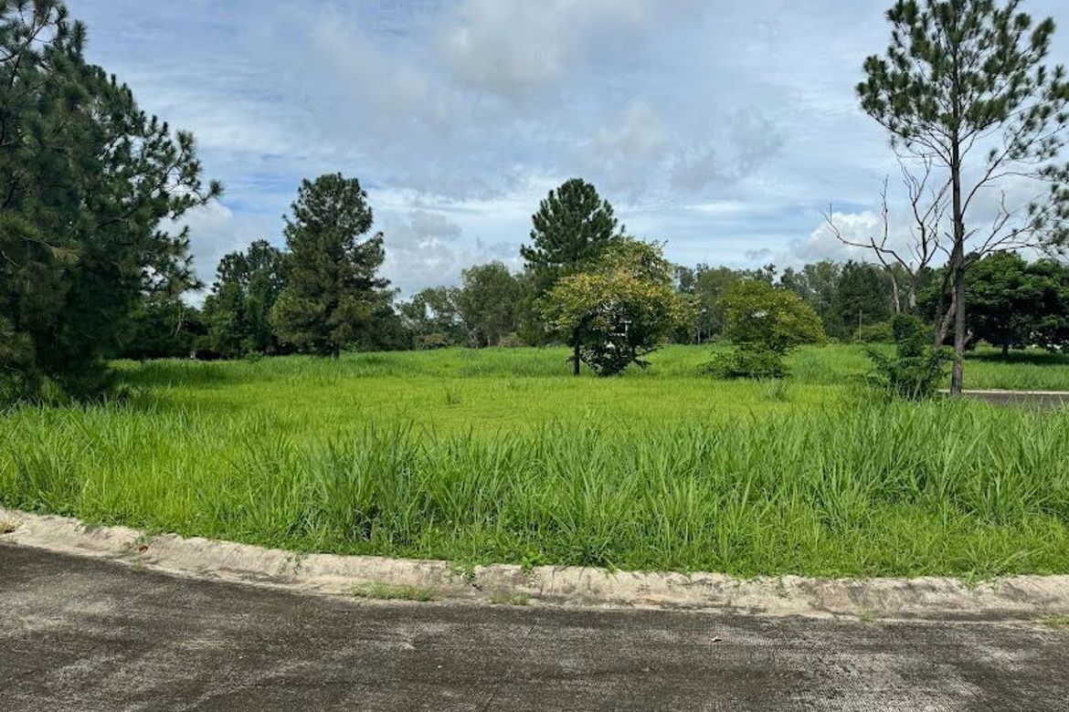 Land for Sale in Santo Domingo, Santa Rosa, Laguna – photo 7