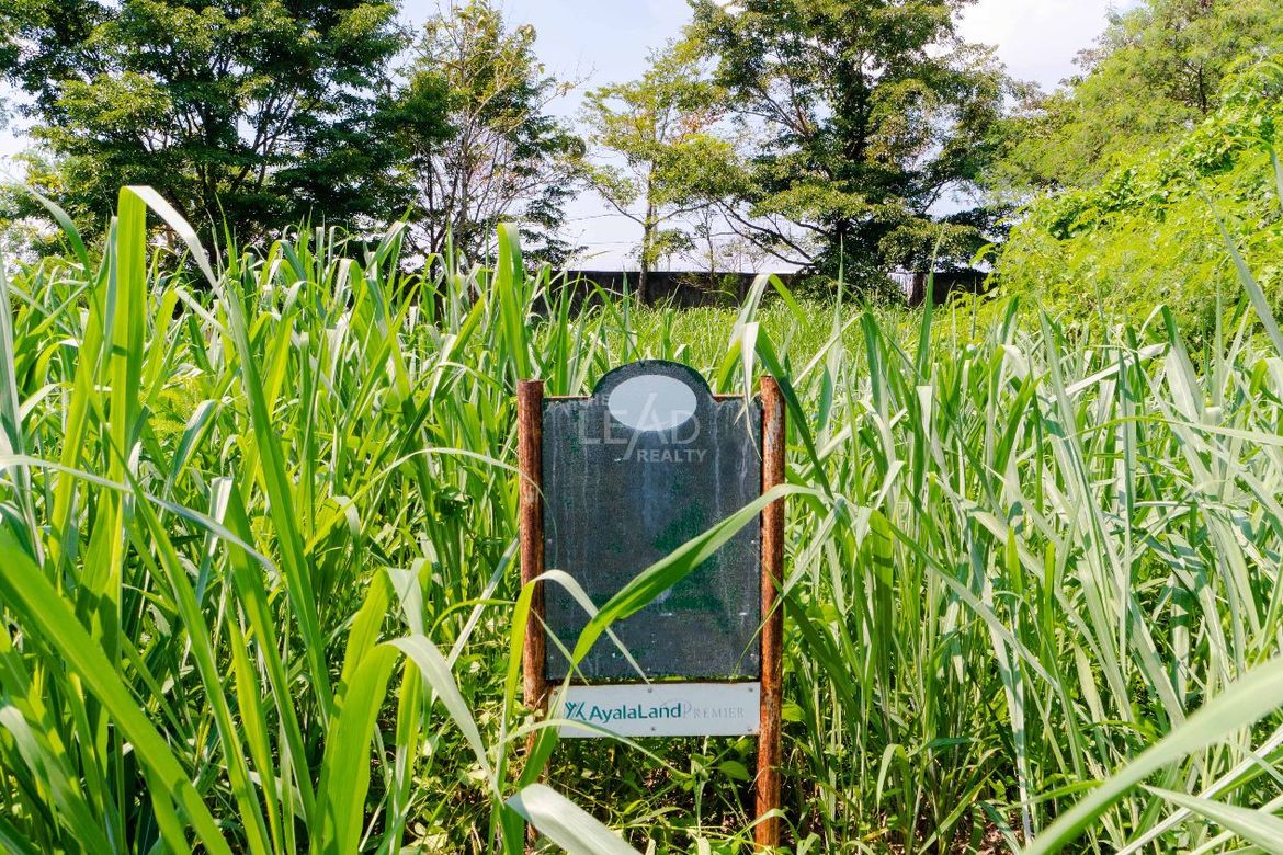 Land for Sale in Santo Domingo, Santa Rosa, Laguna – photo 2