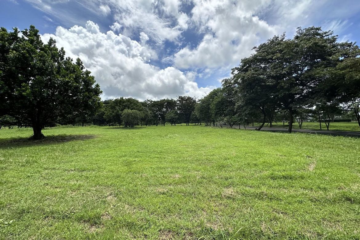 Land for Sale in Santo Domingo, Santa Rosa, Laguna – photo 4