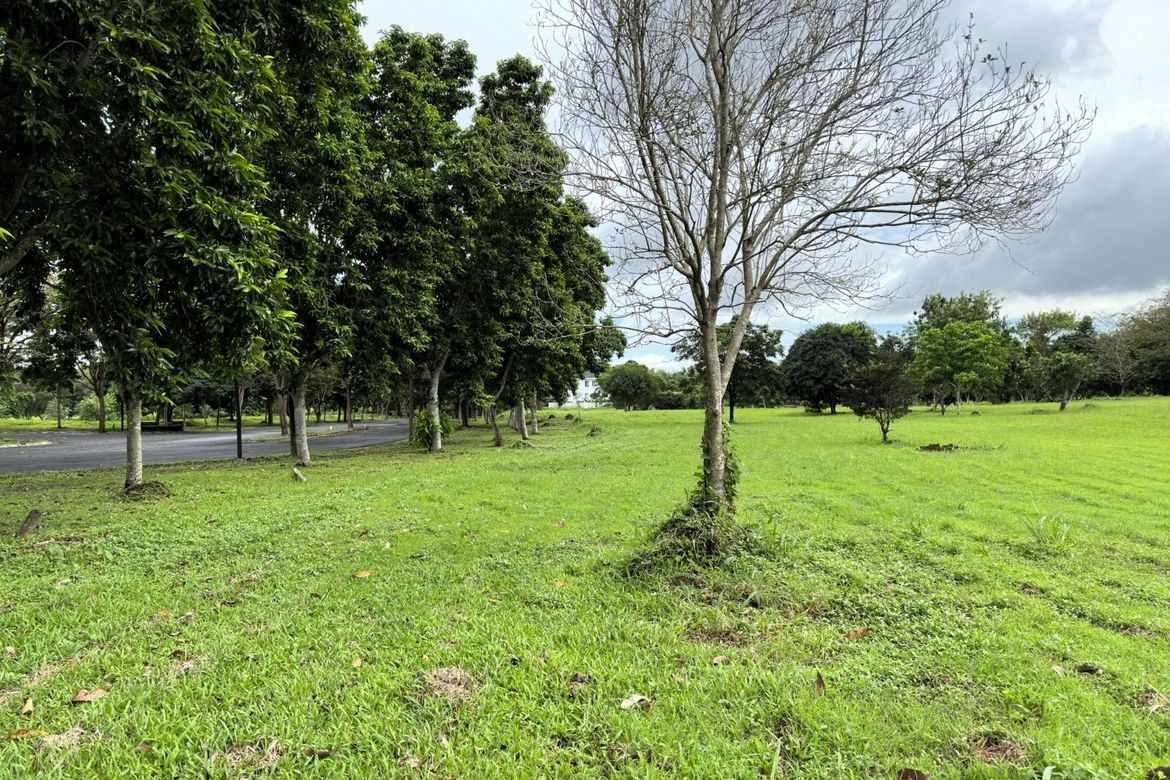 Land for Sale in Santo Domingo, Santa Rosa, Laguna – photo 7
