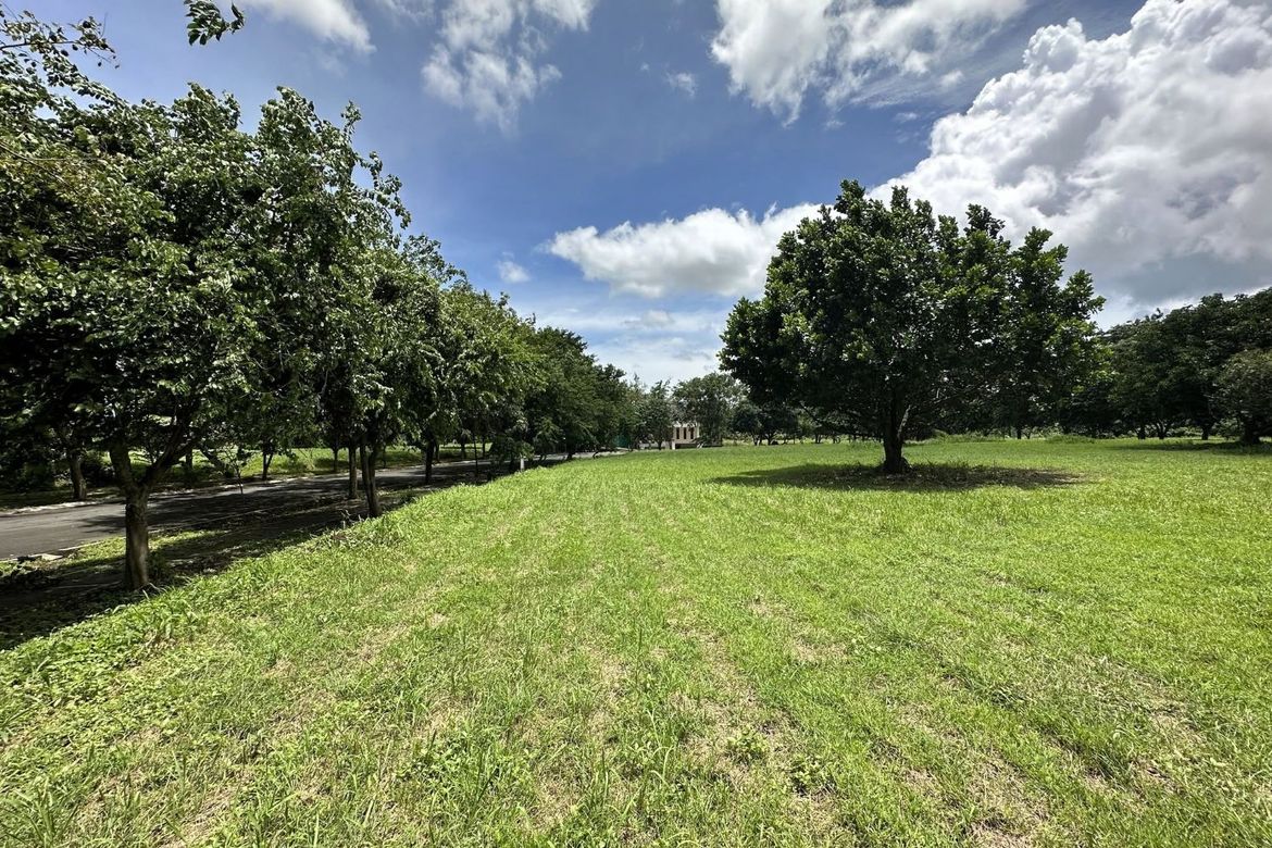Land for Sale in Santo Domingo, Santa Rosa, Laguna