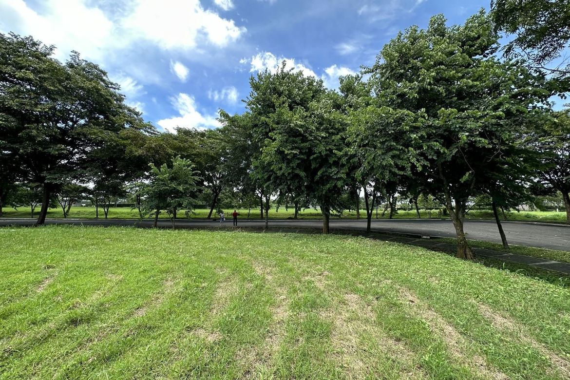 Land for Sale in Santo Domingo, Santa Rosa, Laguna – photo 3