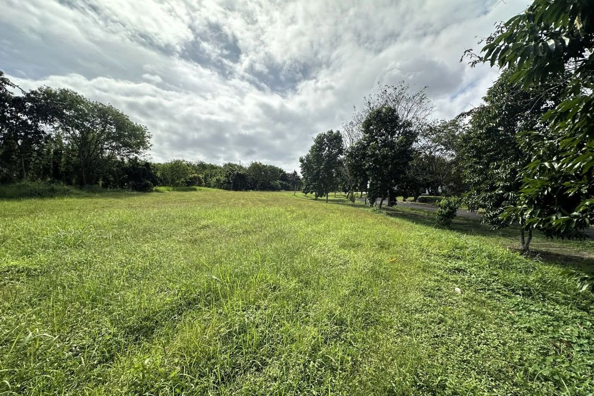 Land for Sale in Santo Domingo, Santa Rosa, Laguna – photo 7