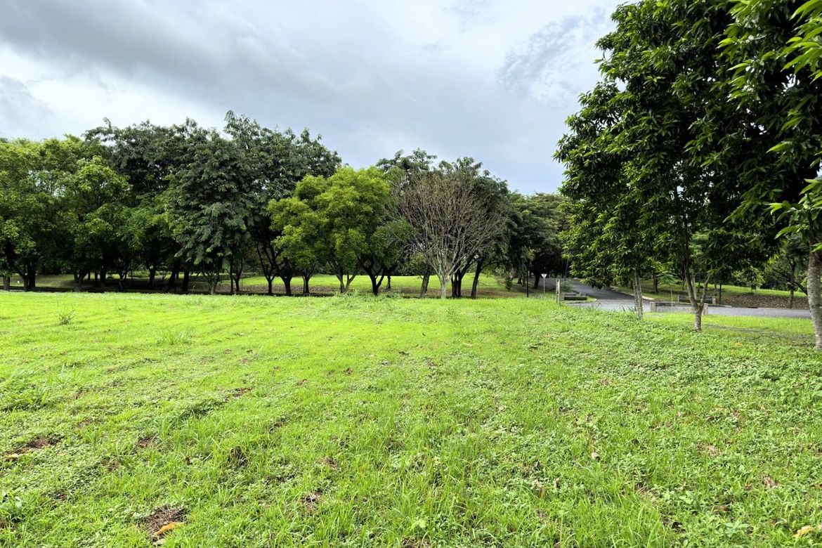 Land for Sale in Santo Domingo, Santa Rosa, Laguna – photo 4