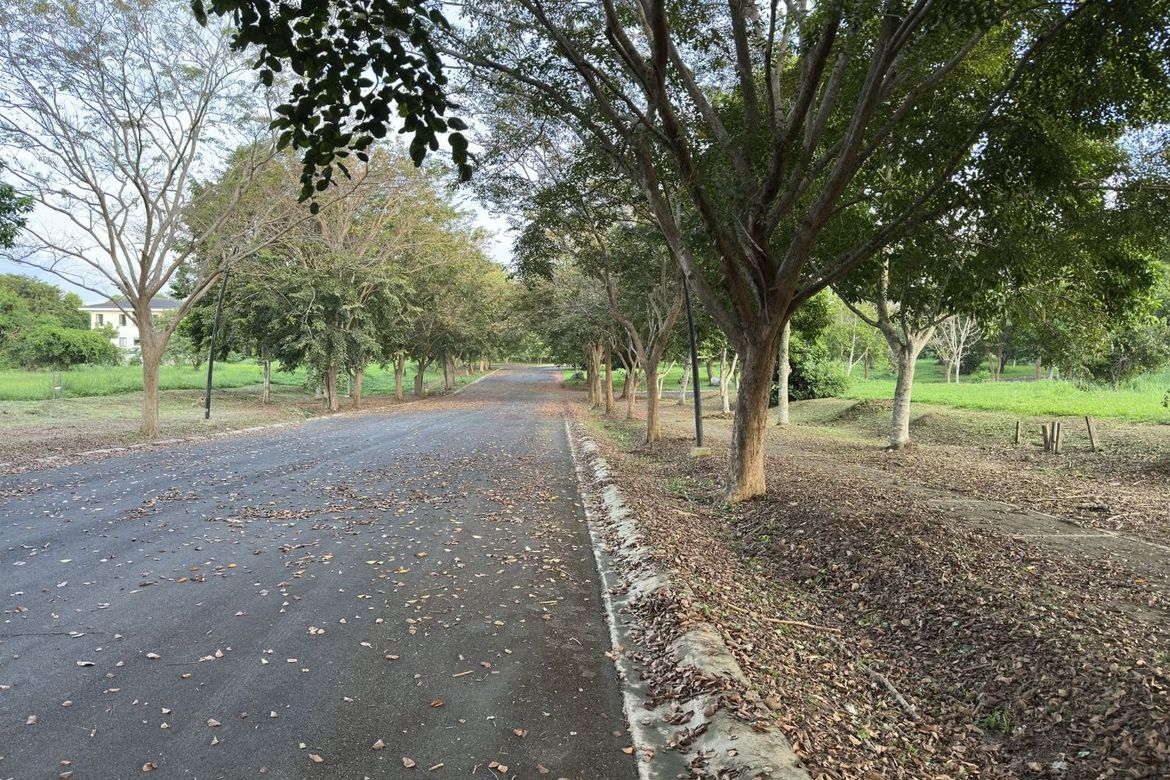 Land for Sale in Santo Domingo, Santa Rosa, Laguna