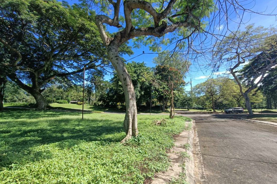 Land for Sale in Santo Domingo, Santa Rosa, Laguna – photo 3