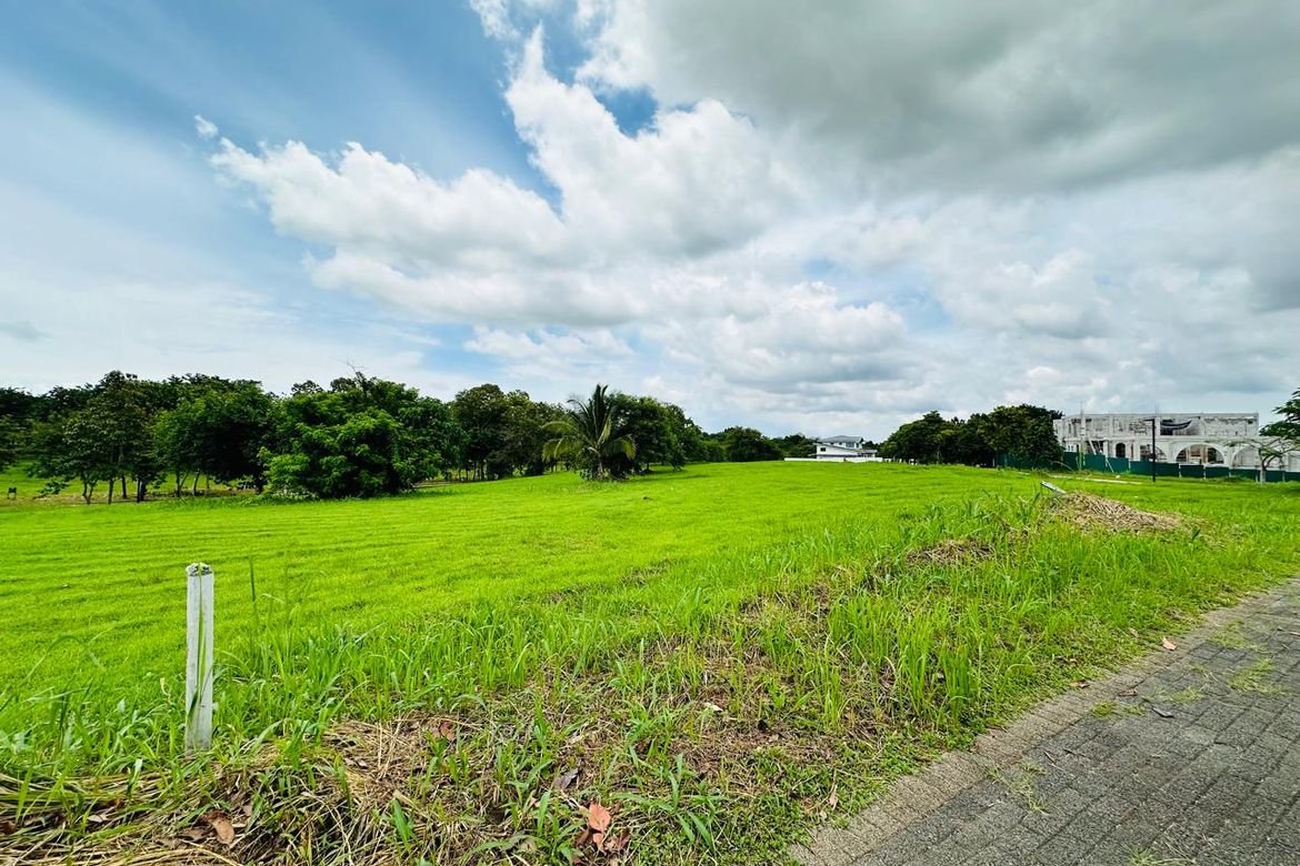 Land for Sale in Santo Domingo, Santa Rosa, Laguna