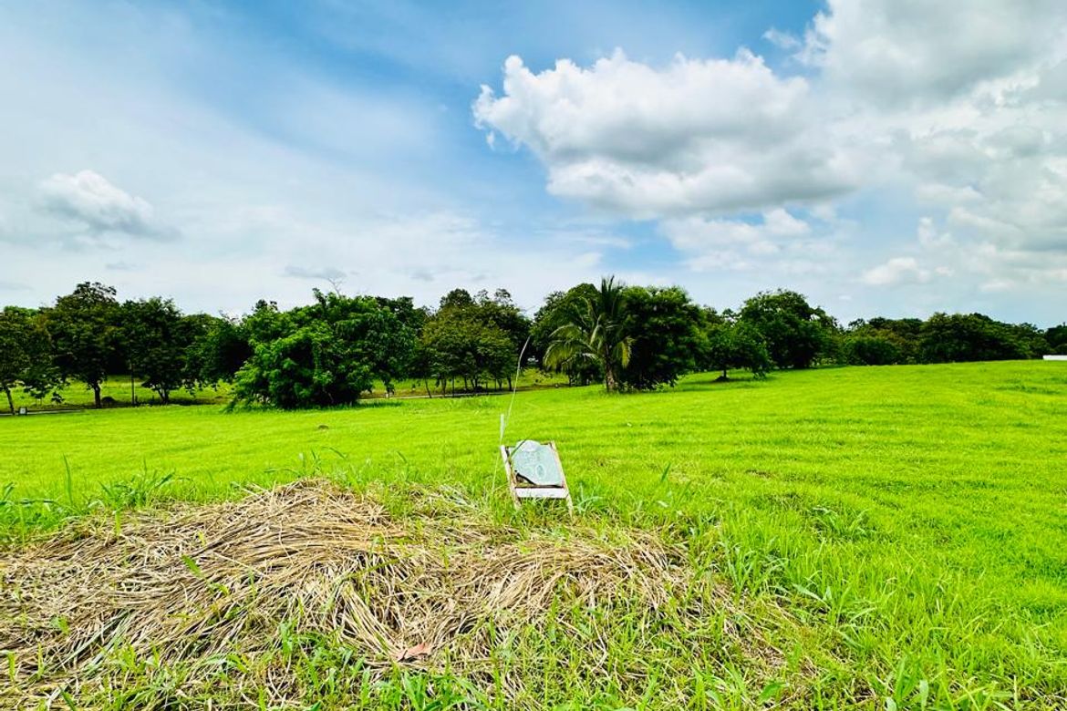 Land for Sale in Santo Domingo, Santa Rosa, Laguna – photo 2
