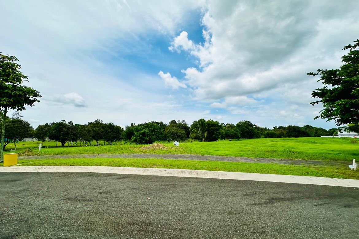 Land for Sale in Santo Domingo, Santa Rosa, Laguna – photo 3