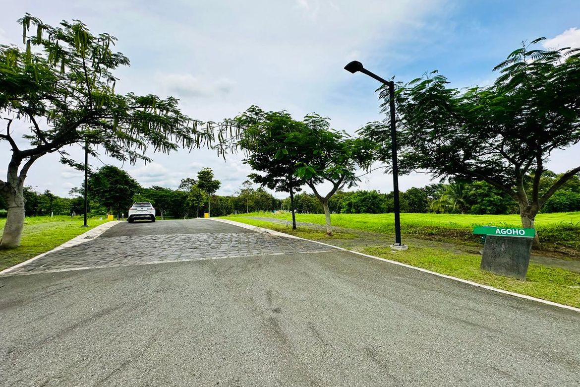 Land for Sale in Santo Domingo, Santa Rosa, Laguna – photo 6
