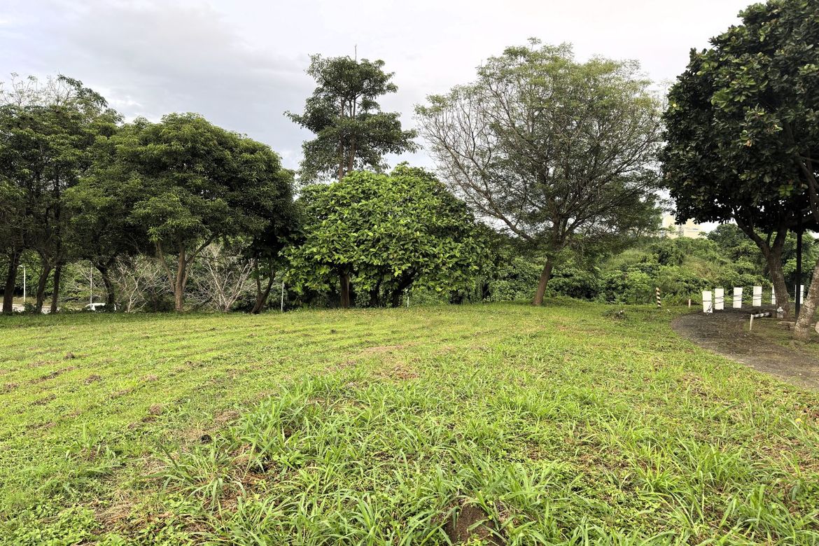 Land for Sale in Santo Domingo, Santa Rosa, Laguna – photo 2