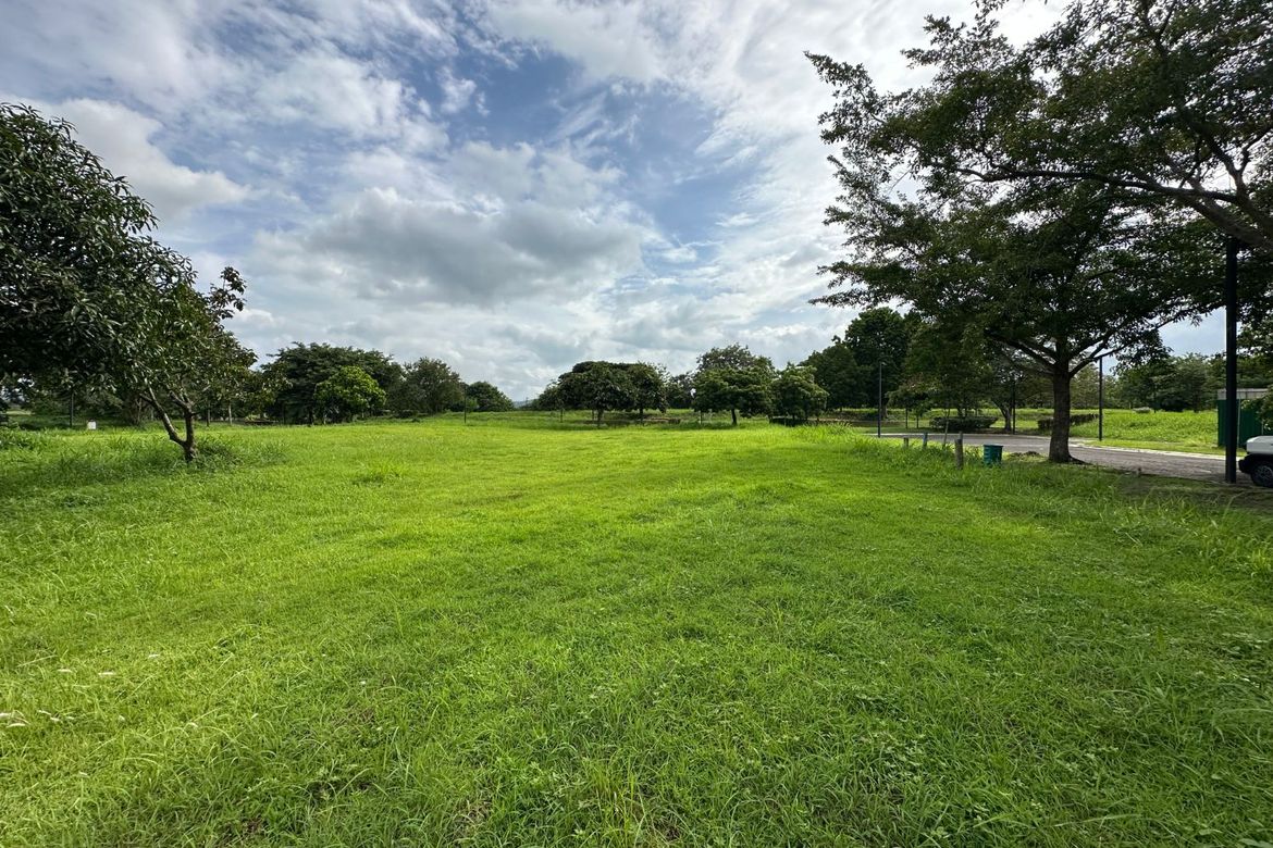 Land for Sale in Santo Domingo, Santa Rosa, Laguna – photo 3