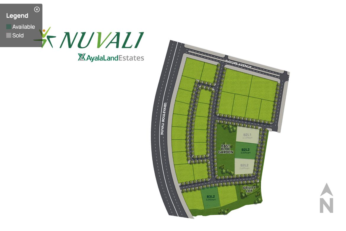 Land for Sale in Santo Domingo, Santa Rosa, Laguna – photo 3