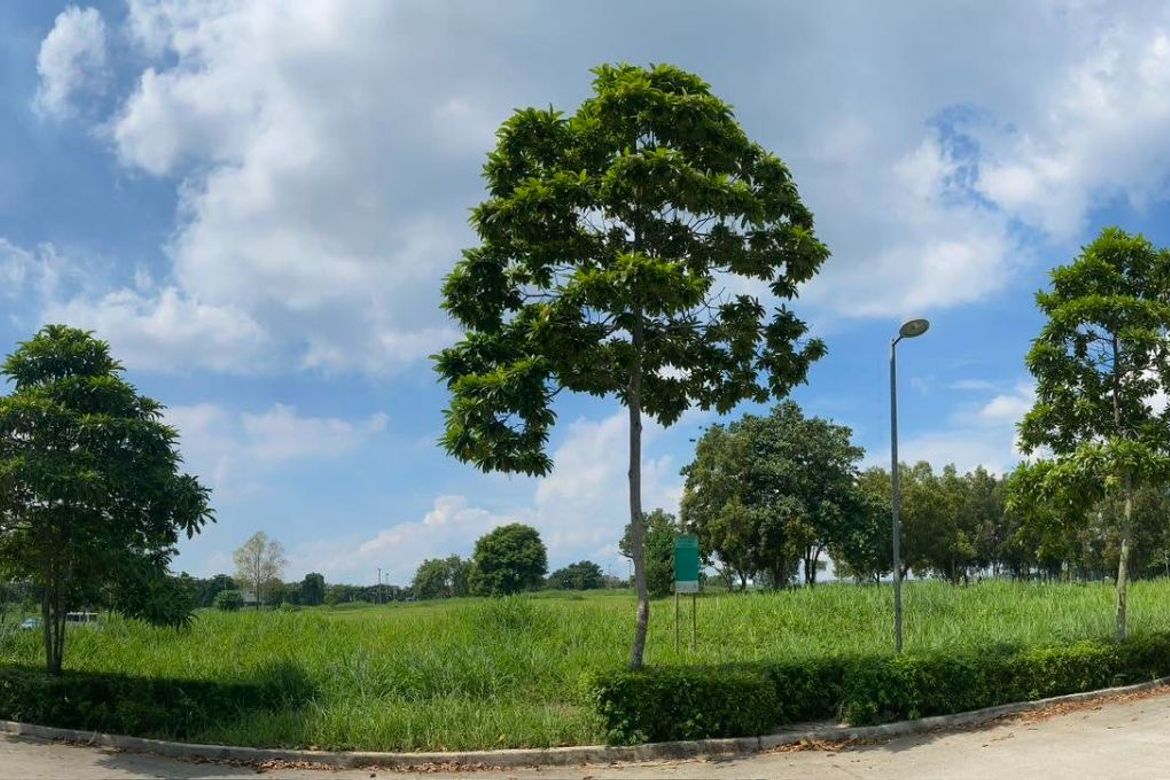 Land for Sale in Santo Domingo, Santa Rosa, Laguna – photo 2
