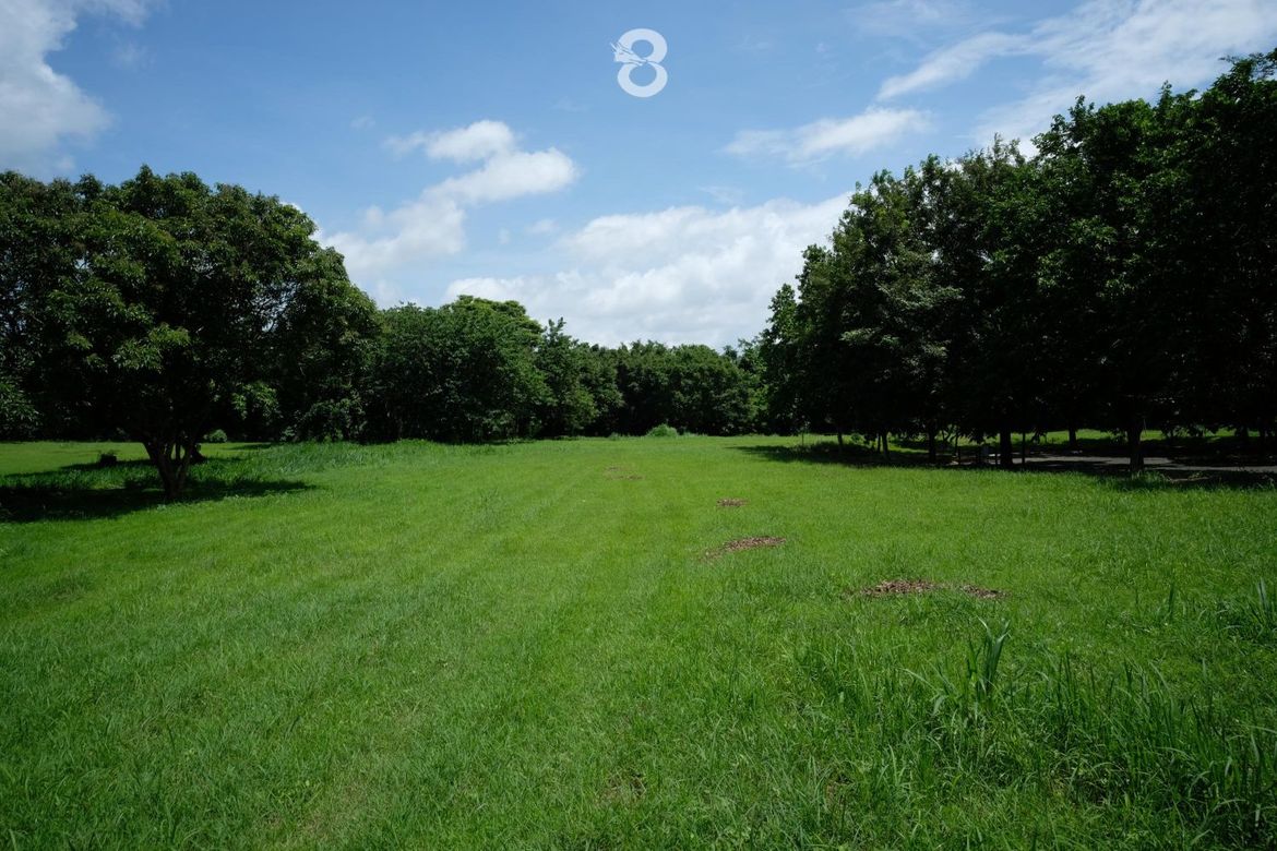 Land for Sale in Santo Domingo, Santa Rosa, Laguna