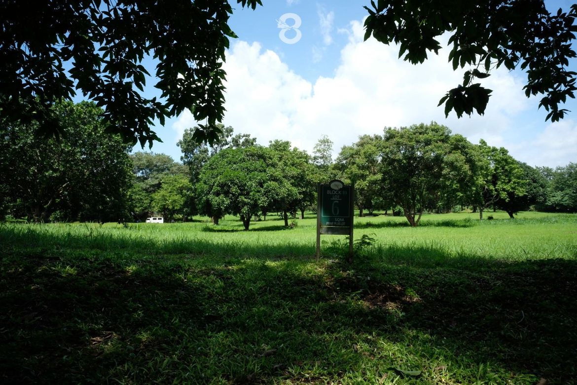Land for Sale in Santo Domingo, Santa Rosa, Laguna – photo 2