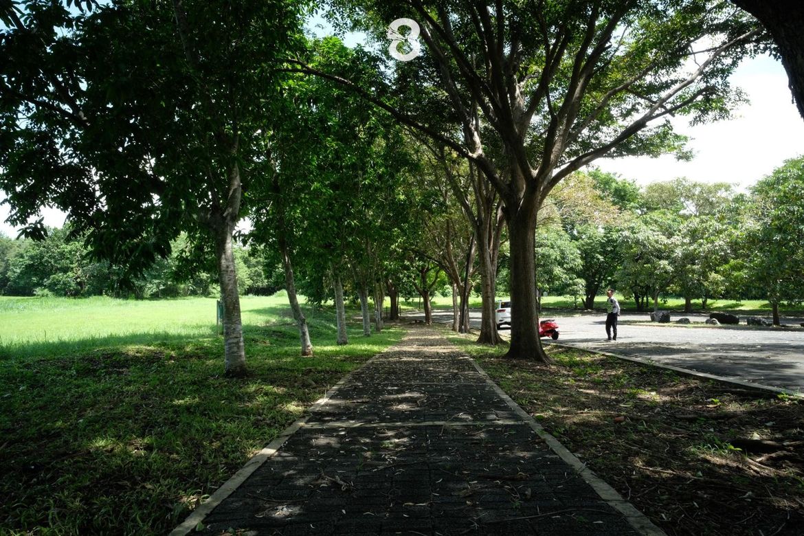 Land for Sale in Santo Domingo, Santa Rosa, Laguna – photo 3