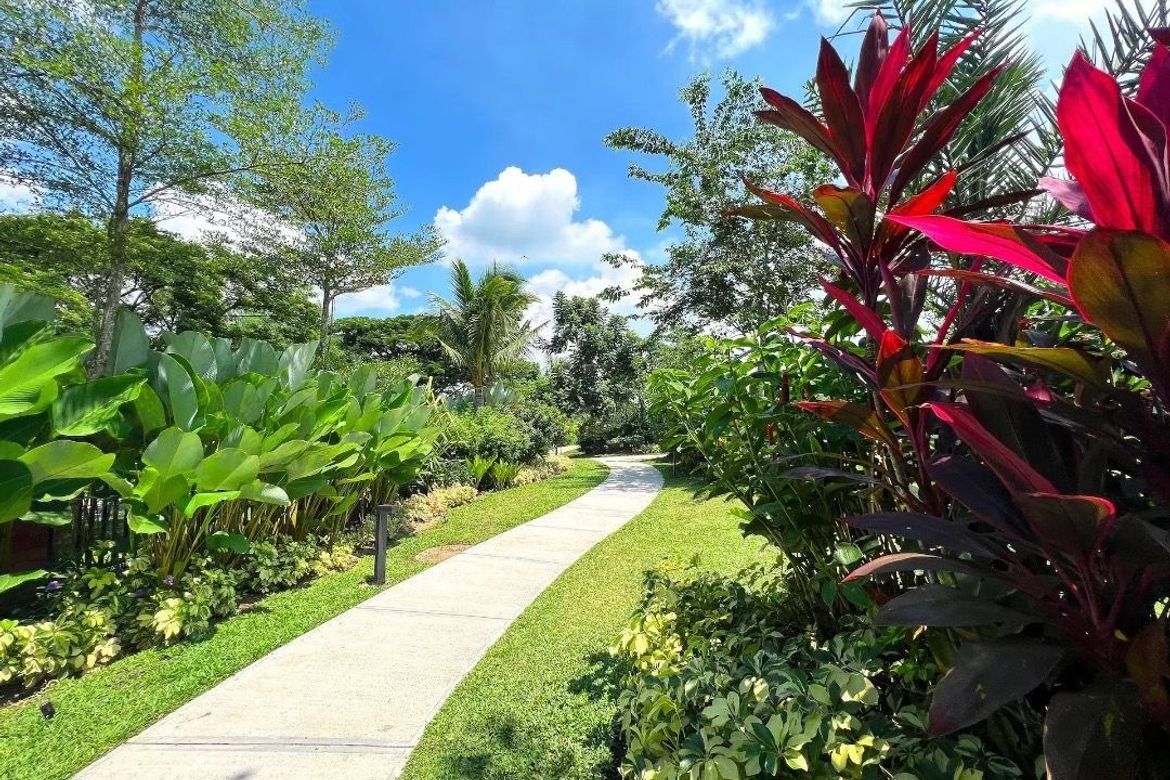 Land for Sale in Santo Domingo, Santa Rosa, Laguna – photo 5