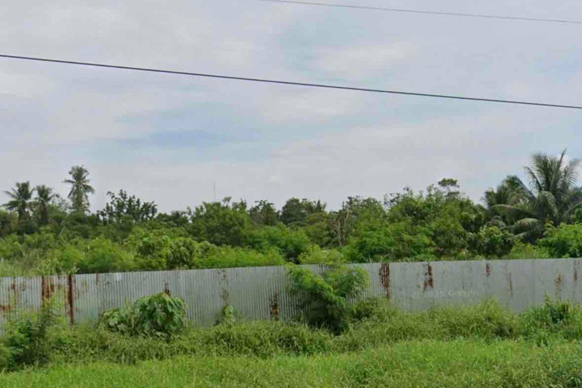 Land for Sale in Santo Niño, Carmen, Davao del Norte