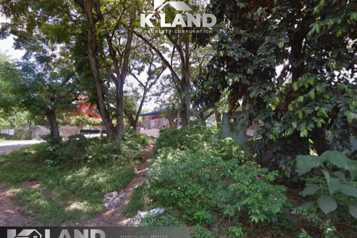 Land for Sale in Santo Niño, Davao City, Davao del Sur – photo 3