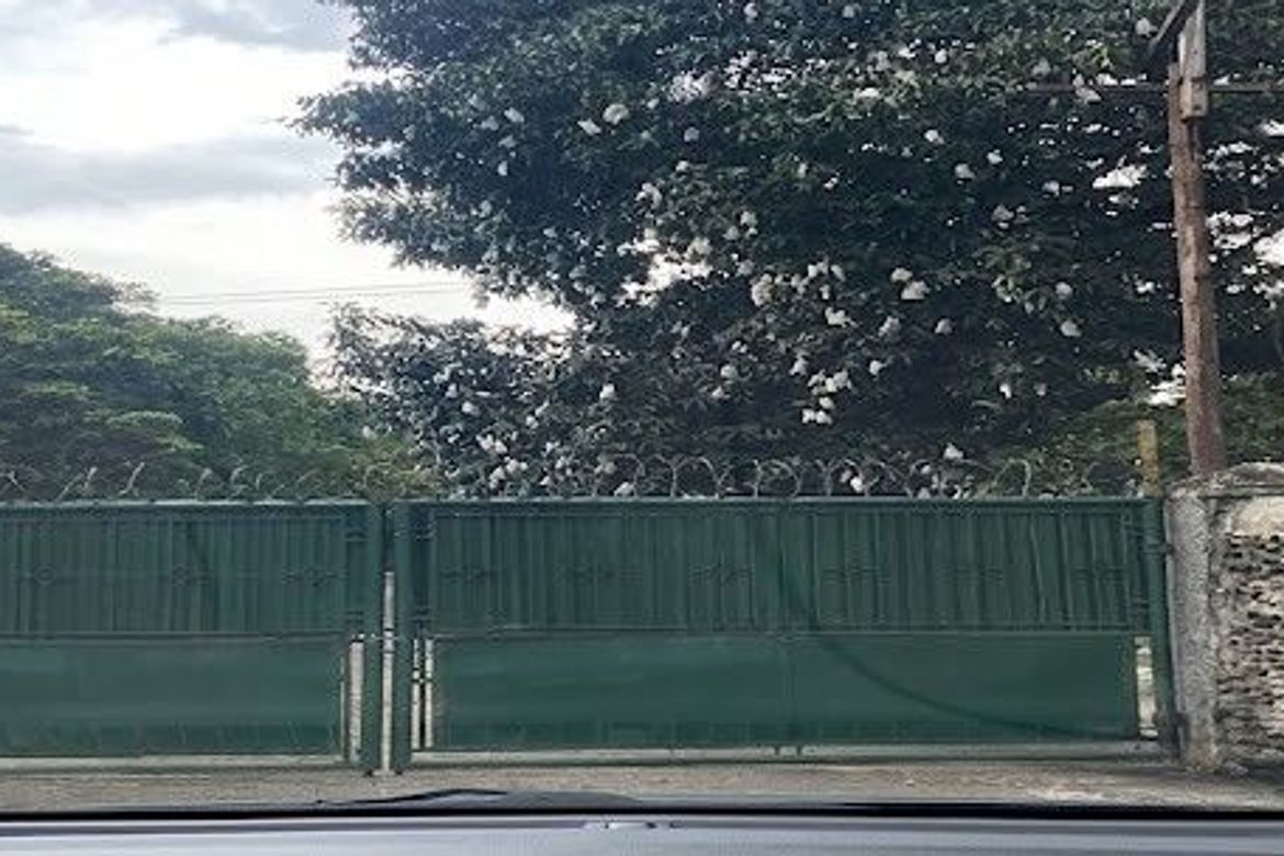 Land for Sale in Santo Niño, Ibaan, Batangas – photo 3