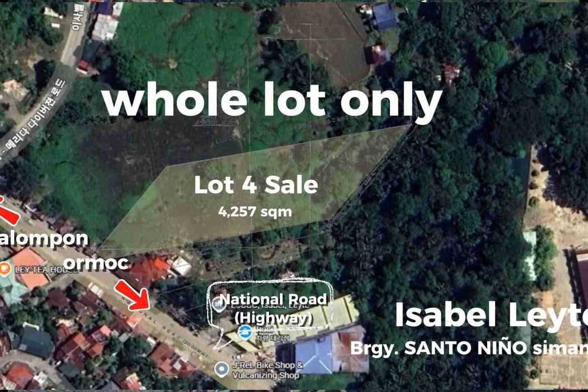 Land for Sale in Santo Niño, Isabel, Leyte – photo 2