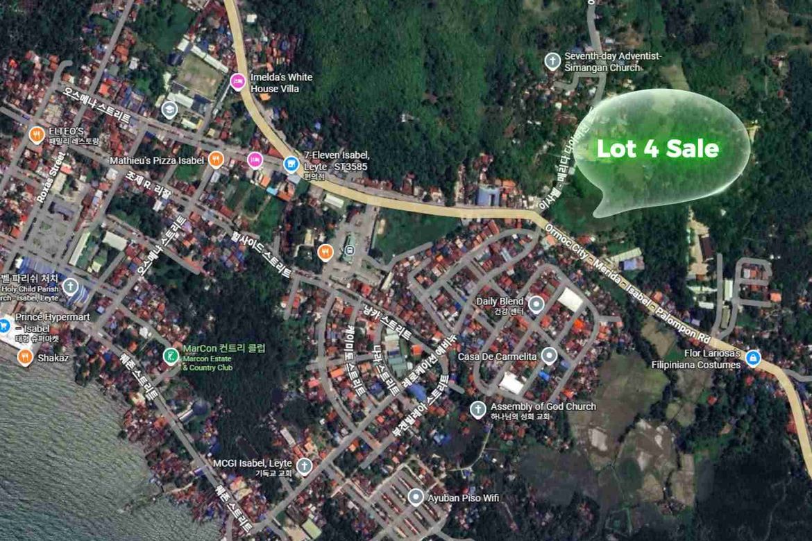 Land for Sale in Santo Niño, Isabel, Leyte – photo 3