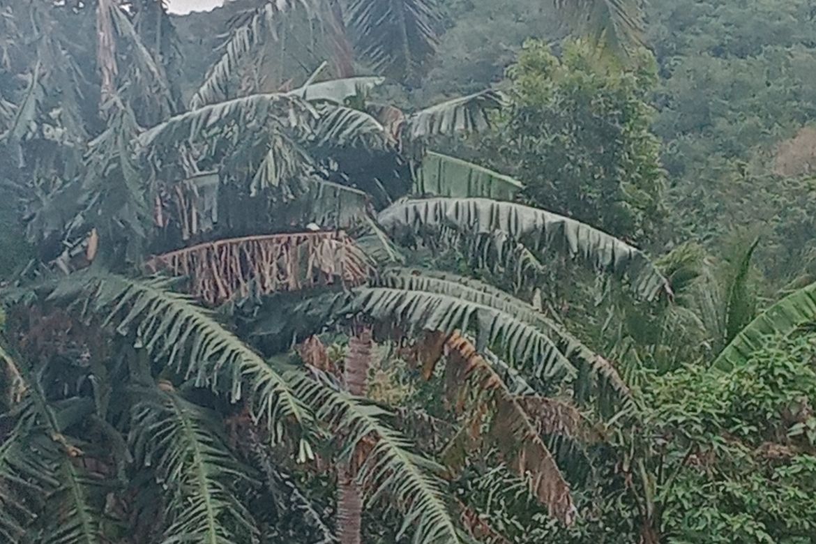 Land for Sale in Santo Niño, Lipa, Batangas – photo 3