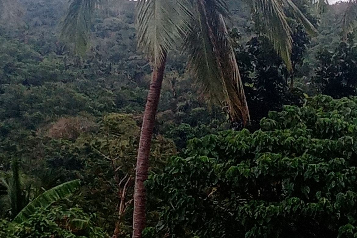 Land for Sale in Santo Niño, Lipa, Batangas – photo 4