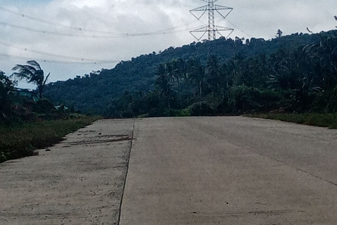 Land for Sale in Santo Niño, Lipa, Batangas – photo 5