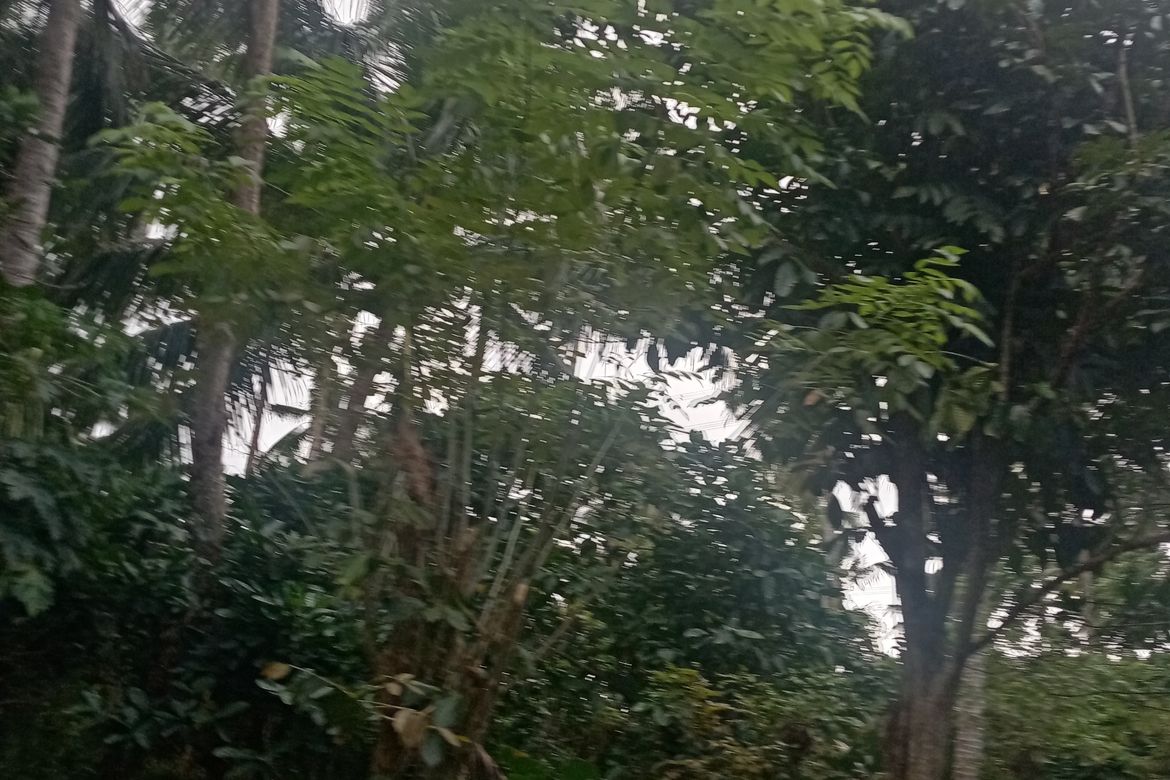 Land for Sale in Santo Niño, Lipa, Batangas – photo 7